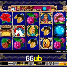 66ub Brasília - VIP Program